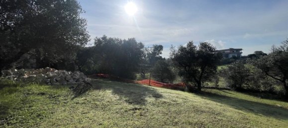 Casa de 2 habitaciónes en Cisternino, Italy No. 80219 34