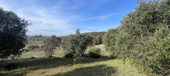 Casa de 2 habitaciónes en Cisternino, Italy No. 80219 29