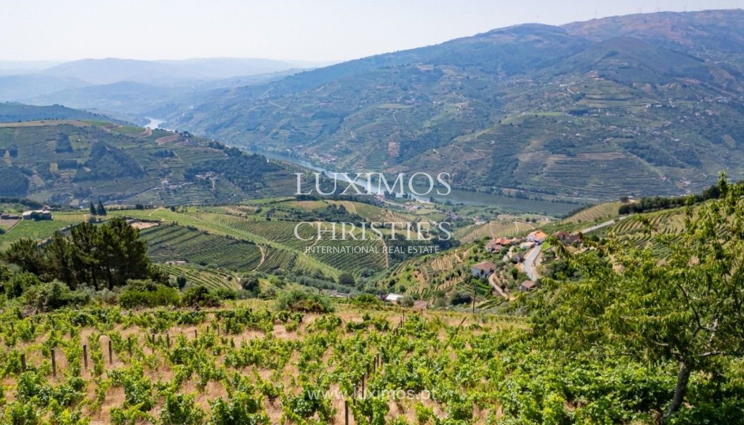 1 Schlafzimmer Haus in Mesao Frio, Portugal, Nr. 262464