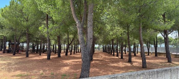 4غرفة بانتهاوس في Monopoli, Italy رقم 299509 27