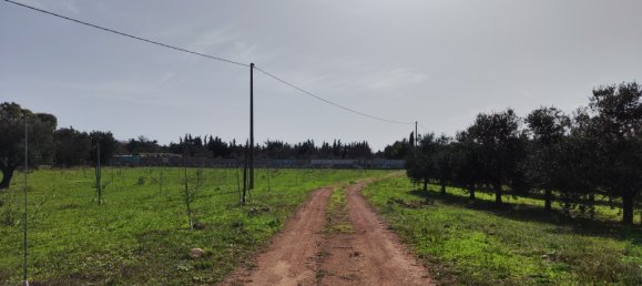 3 Schlafzimmer Villa in Sannicola, Italy, Nr. 59650 8