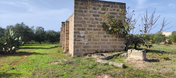 3 Schlafzimmer Villa in Sannicola, Italy, Nr. 59650 12