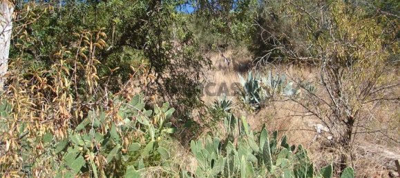 30m² Land in Alte, Portugal No. 167854 12