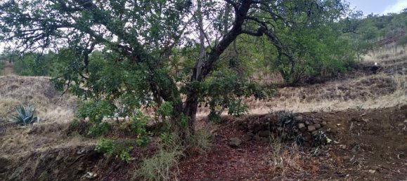 30m² Land in Alte, Portugal No. 167854 15