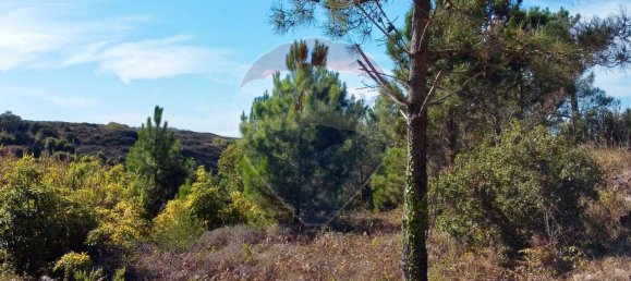 قطعة أرض في Colares, Portugal 7640متر مربع رقم 58383 3