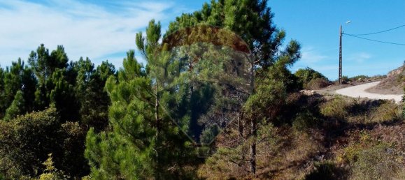 قطعة أرض في Colares, Portugal 7640متر مربع رقم 58383 2