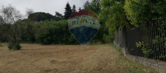 Terreno en Vignanello, Italy 3788 m² No. 67311 3