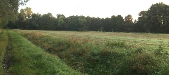 6 Schlafzimmer Bauernhof in Lüchow-Dannenberg, Germany, Nr. 162113 17