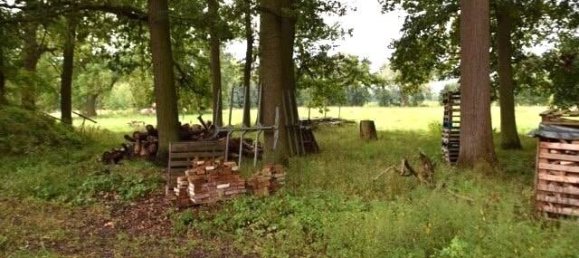 6 Schlafzimmer Bauernhof in Lüchow-Dannenberg, Germany, Nr. 162113 16