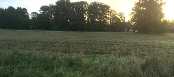 6 Schlafzimmer Bauernhof in Lüchow-Dannenberg, Germany, Nr. 162113 19