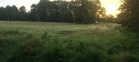 6 Schlafzimmer Bauernhof in Lüchow-Dannenberg, Germany, Nr. 162113 20