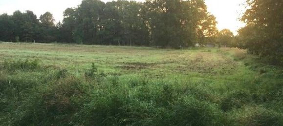 6 Schlafzimmer Bauernhof in Lüchow-Dannenberg, Germany, Nr. 162113 18