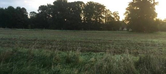 6 Schlafzimmer Bauernhof in Lüchow-Dannenberg, Germany, Nr. 162113 21