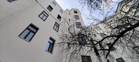 Коммерческая недвижимость 184м² в Фафоритен, Австрия № 125644 3