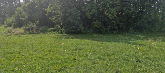  Land in Eberndorf, Austria No. 210433 4