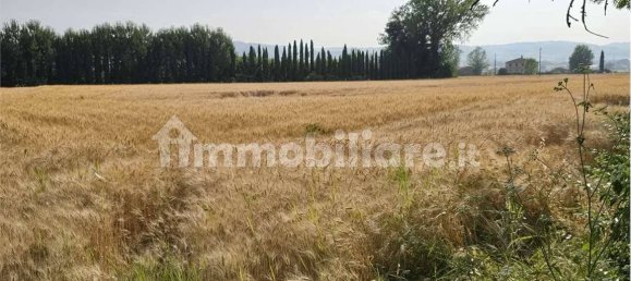 3 bedrooms House in Collazzone, Italy No. 266117 35