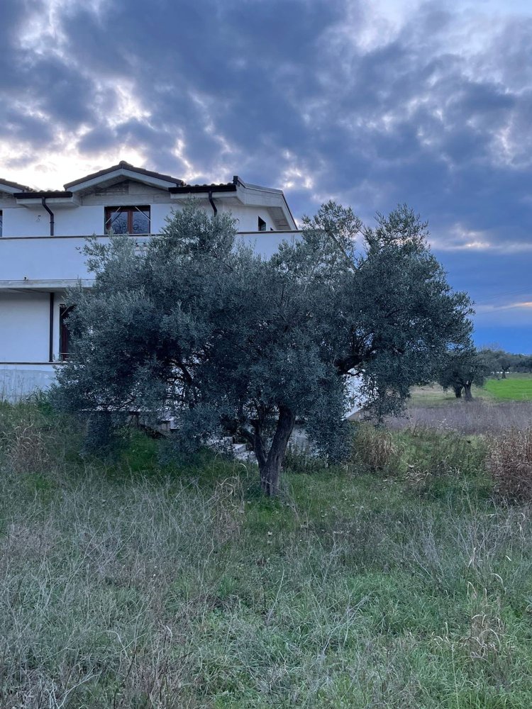 12-Zimmer Haus in Cepagatti, Italy, Nr. 254288