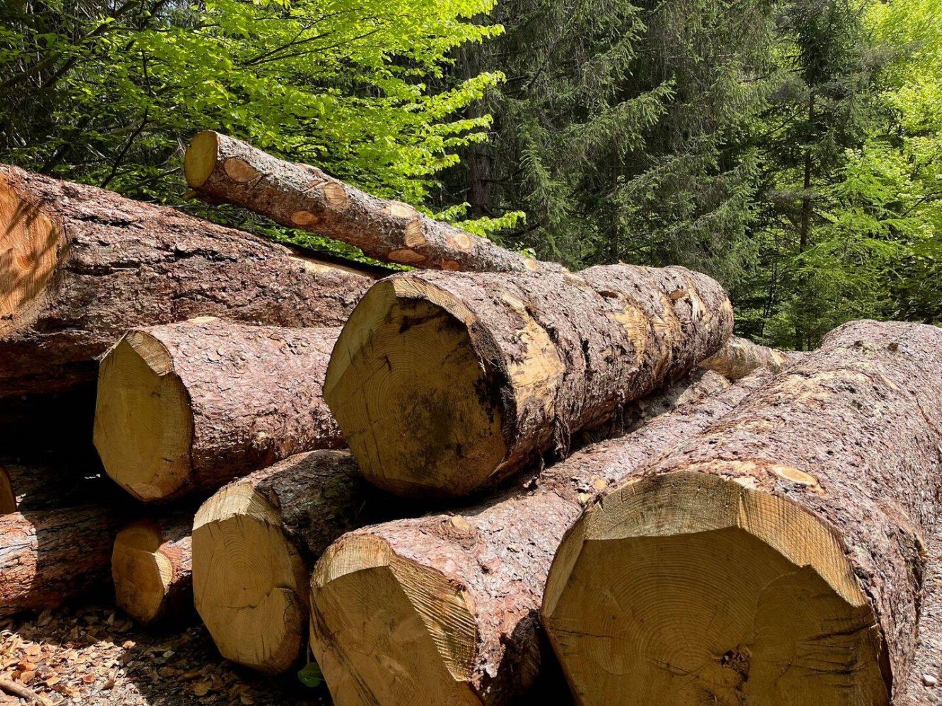 Grundstück in Prignitz, Germany, Nr. 341460