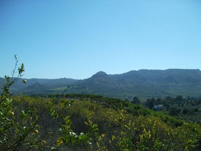  قطعة أرض في Alora, Spain 13000متر مربع رقم 219736