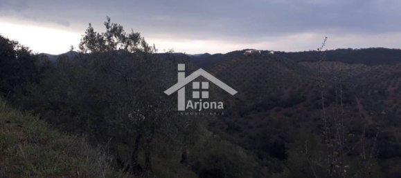 1 bedroom House in Montoro, Spain No. 157401 3