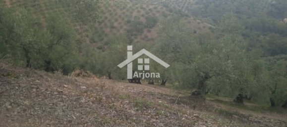1 bedroom House in Montoro, Spain No. 157401 6