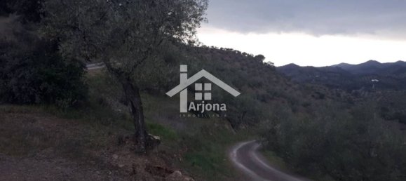 1 bedroom House in Montoro, Spain No. 157401 5