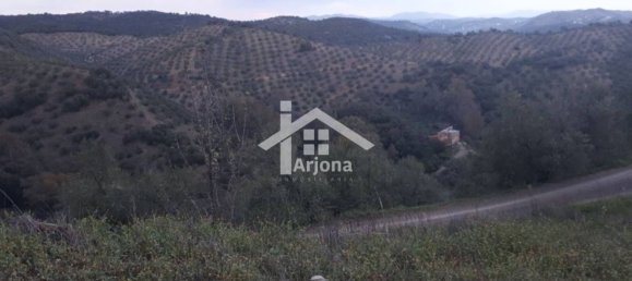 1 bedroom House in Montoro, Spain No. 157401 2