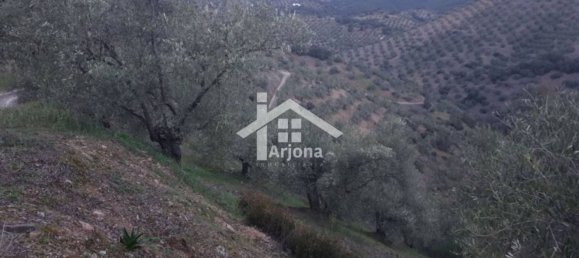 1 bedroom House in Montoro, Spain No. 157401 4