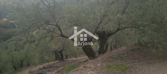 1 bedroom House in Montoro, Spain No. 157401 7