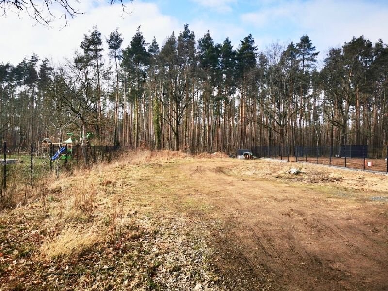  قطعة أرض في Saxony, Germany رقم 129094