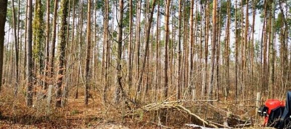  قطعة أرض في Saxony, Germany رقم 129094 4