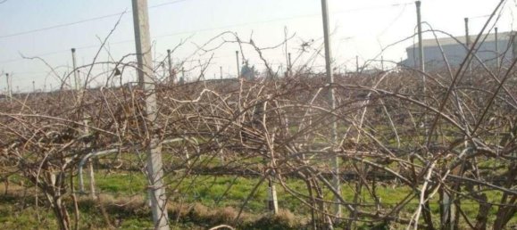  مستودع في Verona, Italy 63561متر مربع رقم 178786 11