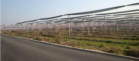  مستودع في Verona, Italy 63561متر مربع رقم 178786 14