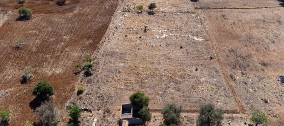 Terreno em Silves, Portugal 8040 m² N.º 73706 4
