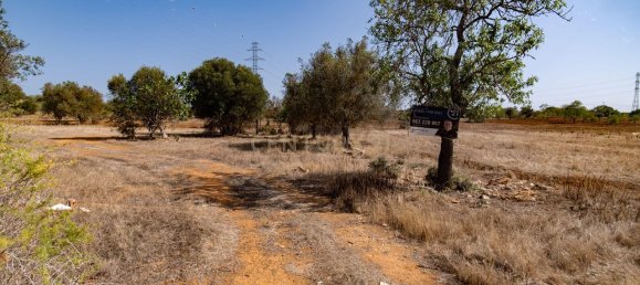 Terreno em Silves, Portugal 8040 m² N.º 73706 5