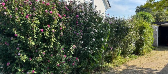 3-Zimmer Grundstück in Märkisch-Oderland, Germany, Nr. 320724 10