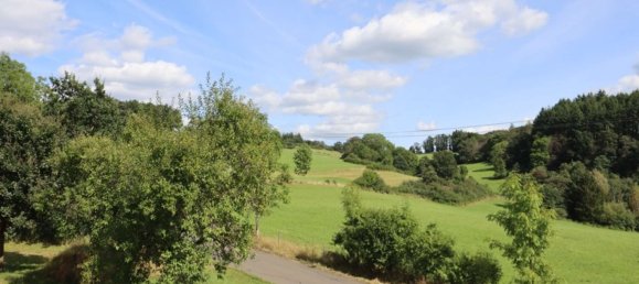 13 rooms House in Rhineland-Palatinate, Germany No. 155677 35