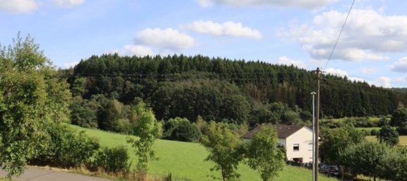 13 rooms House in Rhineland-Palatinate, Germany No. 155677 29