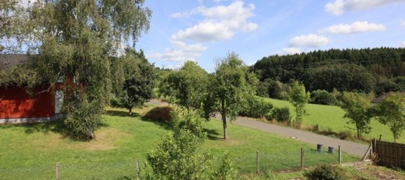 13 rooms House in Rhineland-Palatinate, Germany No. 155677 28