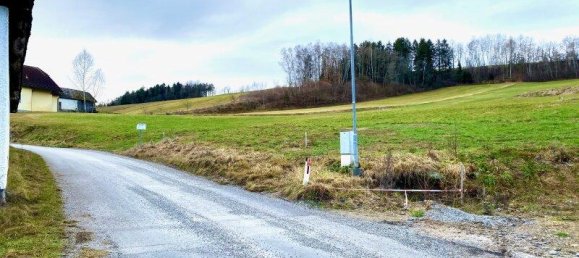 قطعة أرض في Zwettl-Niederosterreich, Austria 4519متر مربع رقم 157430 5