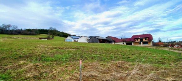 قطعة أرض في Zwettl-Niederosterreich, Austria 4519متر مربع رقم 157430 10