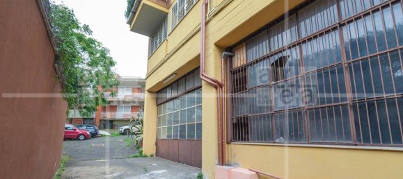  مستودع في Rome, Italy 700متر مربع رقم 311543 2