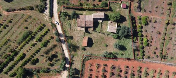 5 bedrooms House in Silves, Portugal No. 62393 5