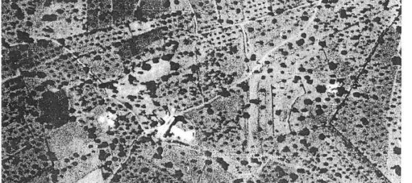 5 bedrooms House in Silves, Portugal No. 62393 14