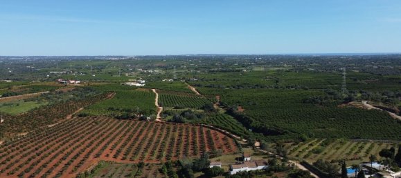 5 bedrooms House in Silves, Portugal No. 62393 8