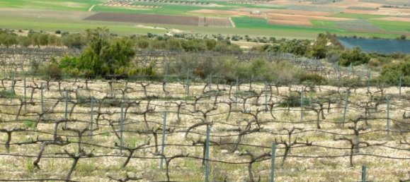 Villa T6 em Yecla, Spain N.º 9623 2