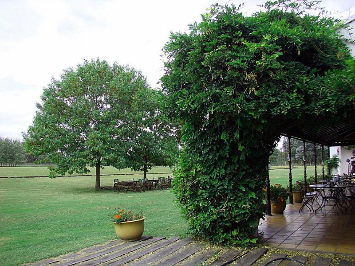Terreno em Buenos Aires, Argentina N.º 121293