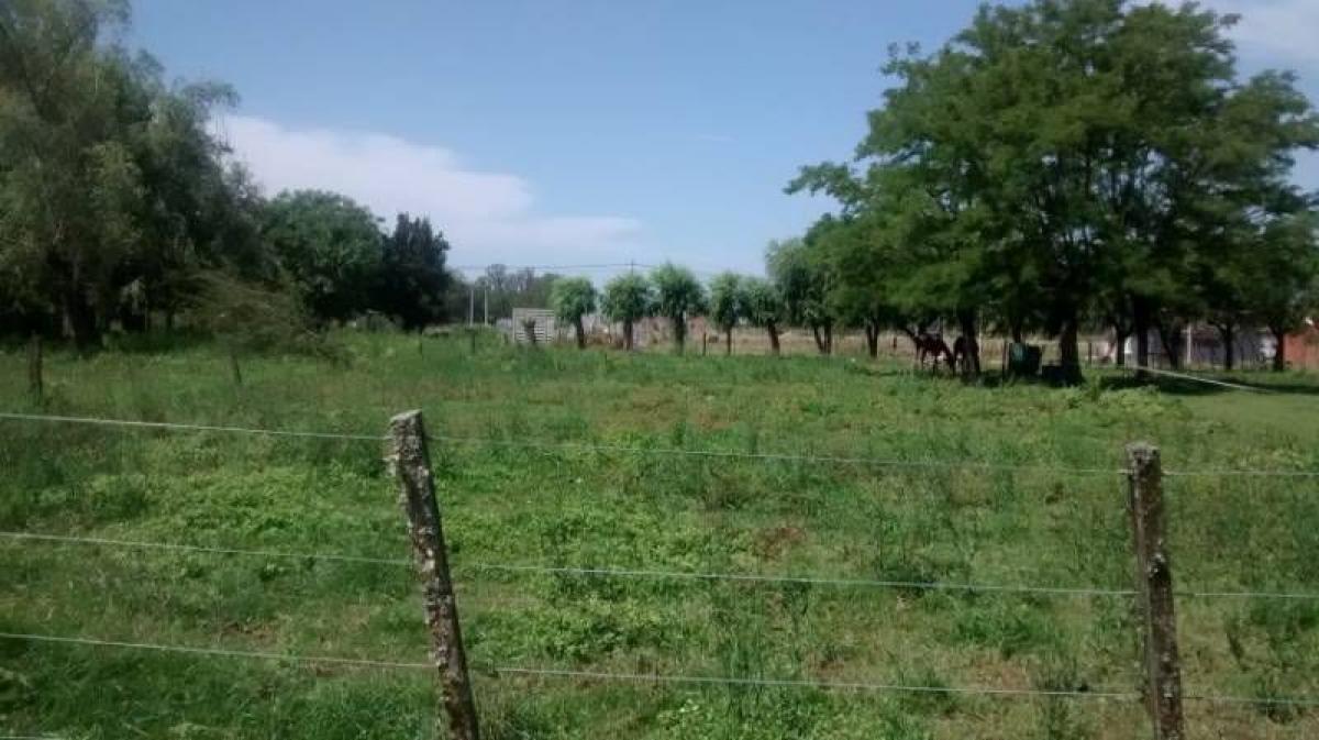  Land in Lobos, Argentina No. 43636