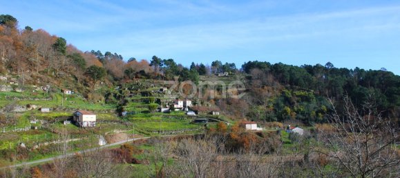 2 bedrooms House in Baiao, Portugal No. 86832 37