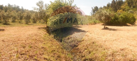 3 Schlafzimmer Haus in Abrantes, Portugal, Nr. 26315 3